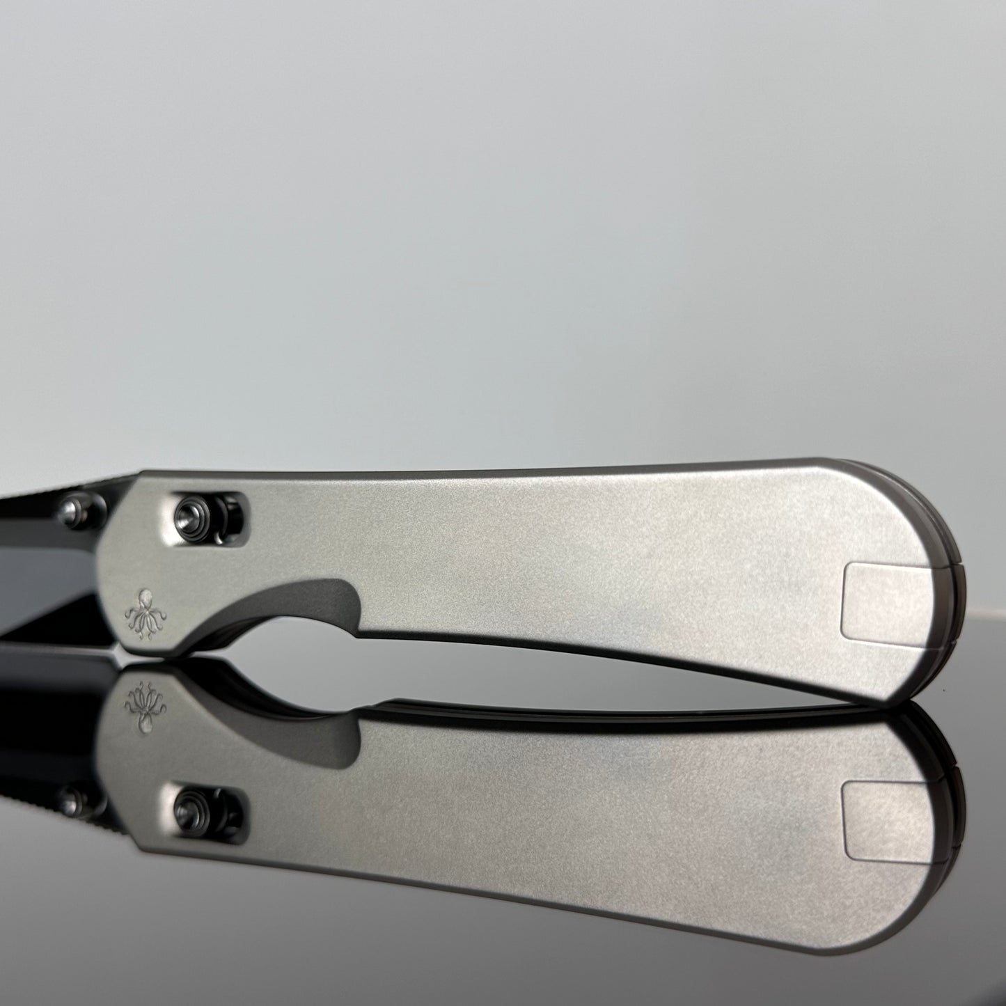 Kraken Scales - Zirconia Ceramic Blast